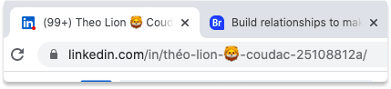 How To Change LinkedIn URL Théo Lion | Breakcold
