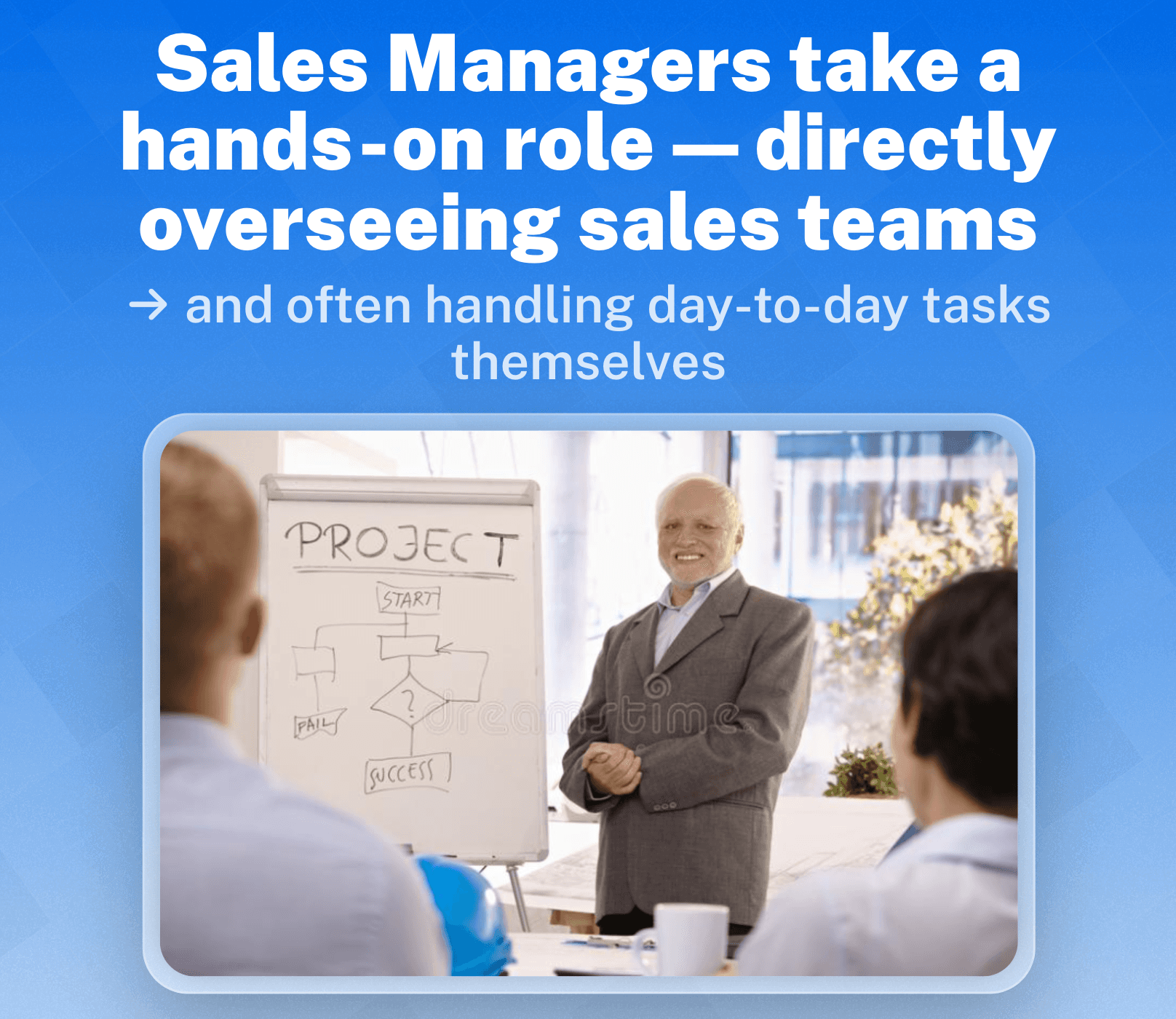 What is a Sales Manager?
