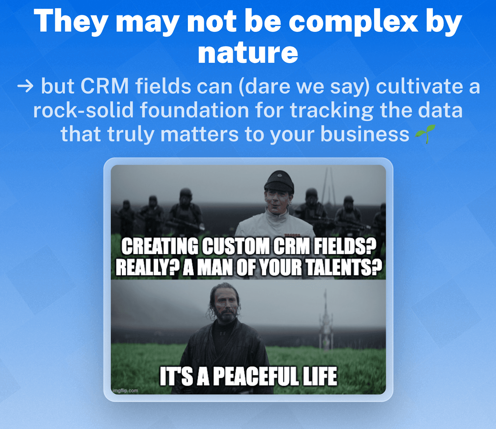 What Are CRM Custom Fields?