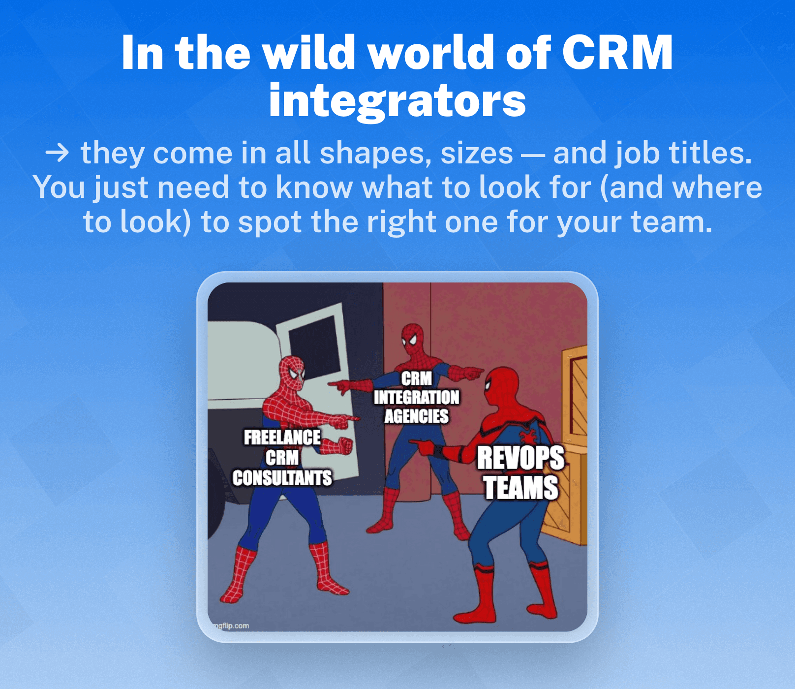 Types of CRM Integrators
